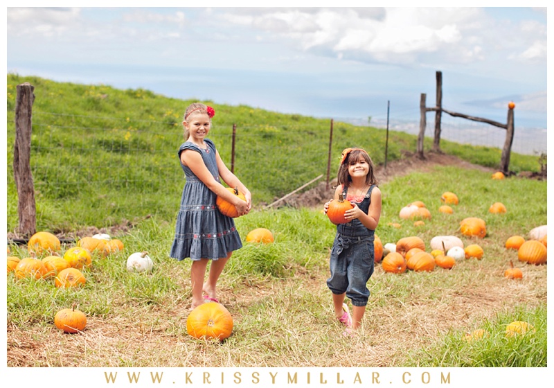 Krissy Millar Photography_Kula Country Farms Pumpkins