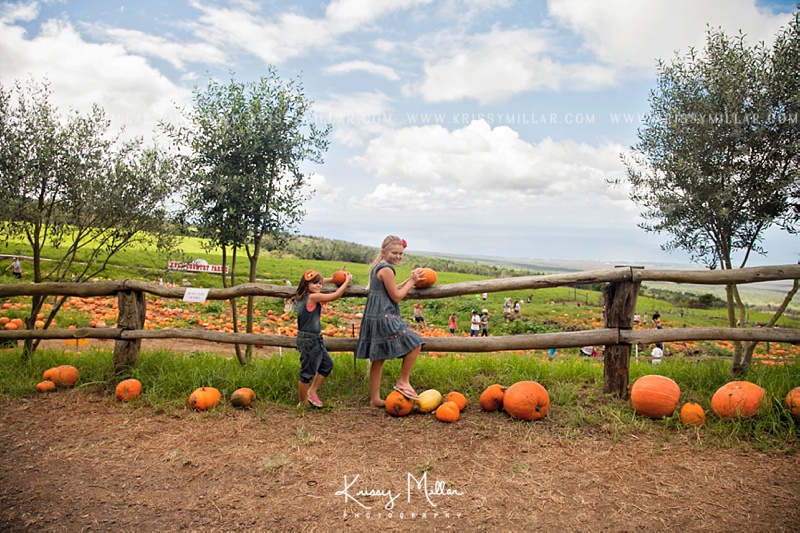 Krissy Millar Photography upcountry pumpkin patch