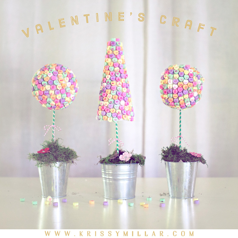 DIY Valentine’s Topiary Craft » Krissy Millar Photography