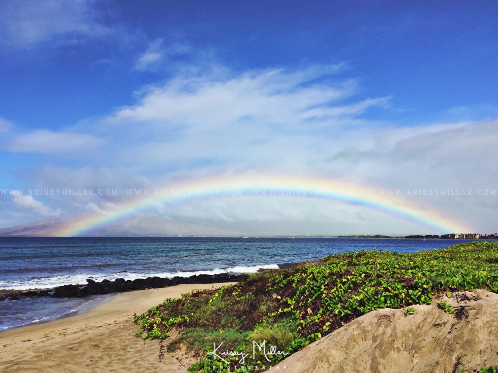 Krissy Millar Photography Maui Hawaii_0029.jpg