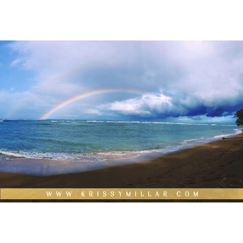 Krissy Millar Photography Maui Hawaii_0030.jpg