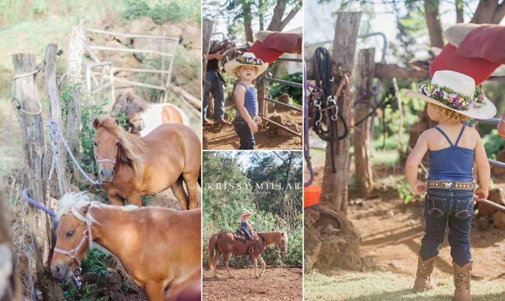 pony rides in maui