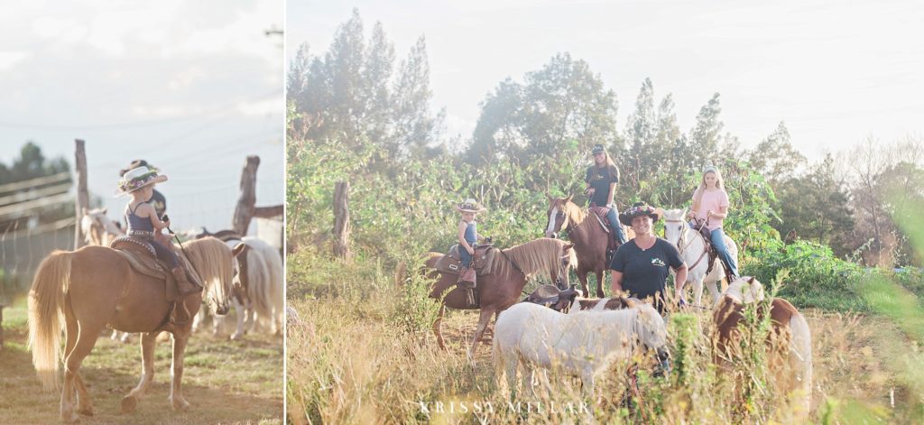 maui ponies kula krissy millar photography