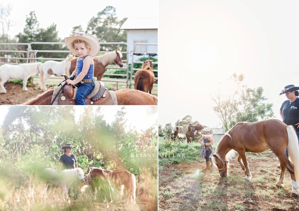 kula pony rides upcountry maui