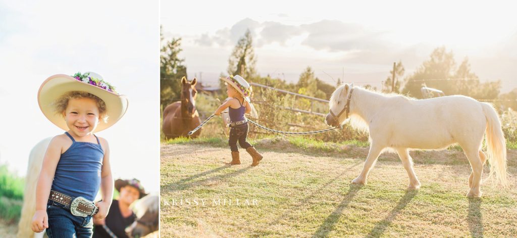 krissy millar photography maui ponies haleakala