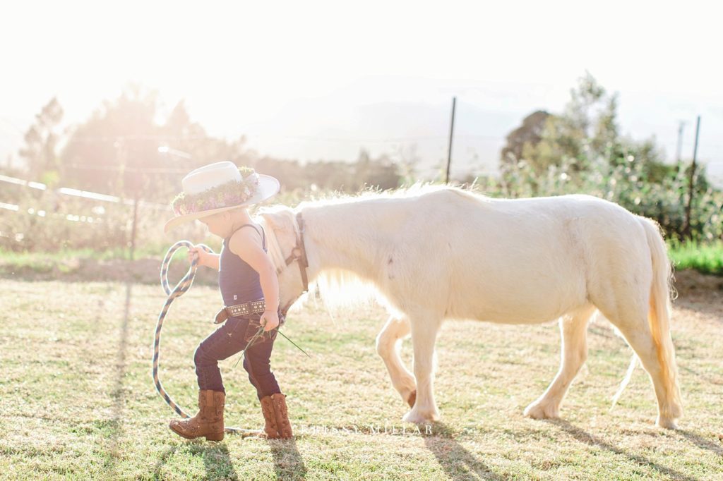 krissy millar photography maui ponies and toddlers