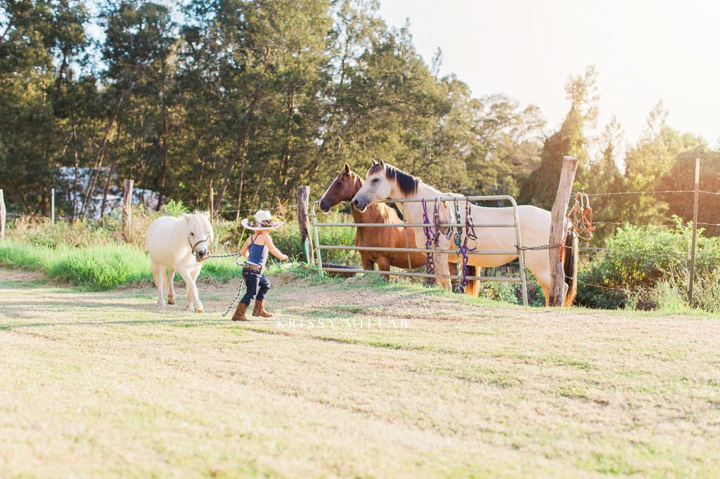 maui ponies and horses krissy millar photography