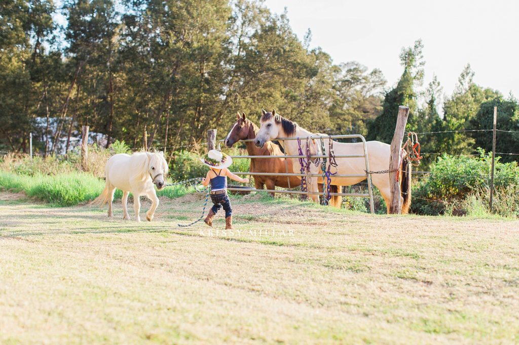 maui horse riding and taming kula