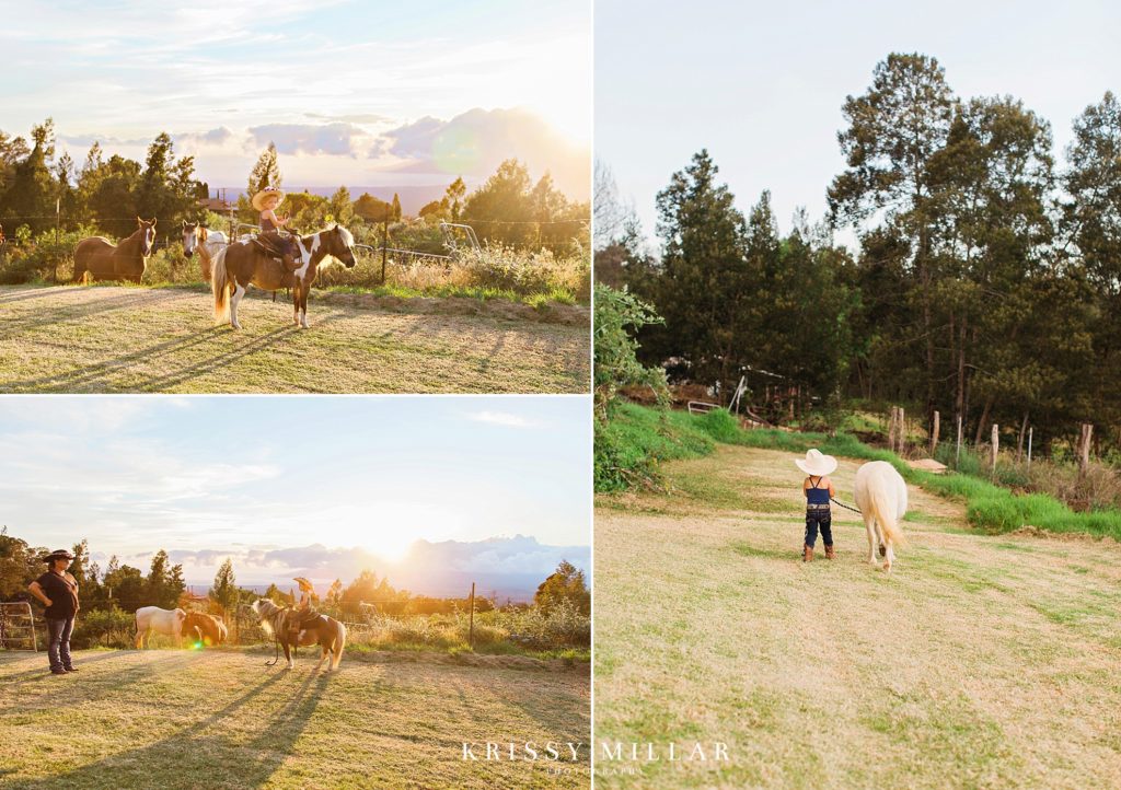 magical moments maui ponies