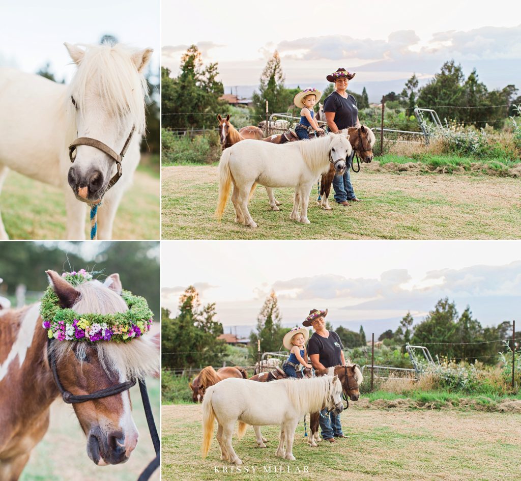 haku lei horses and ponies