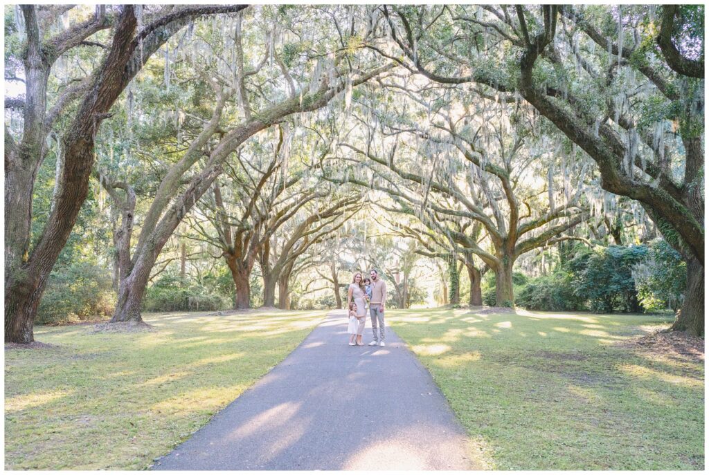 Charleston family session beneath Spanish moss grand oaks